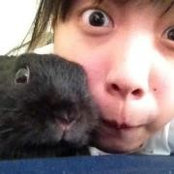 Oom Nisさんの写真
