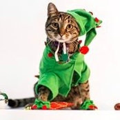 Julia Compton's photo