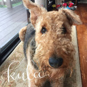 Lisa A M Miller's photo