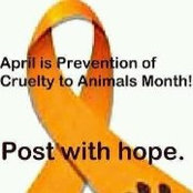 Tiffen Mackinnon's photo