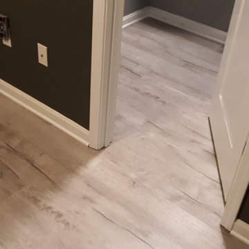 Coretec Pro Plus: Chesapeake Oak
