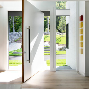 Новые идеи обустройства дома: входная дверь в стиле модернизм с белыми стенами, светлым паркетным полом, поворотной входной дверью и белой входной дверью