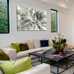 Tropical Trees - Products