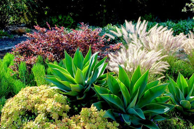 Design ideas for a mediterranean landscaping in Santa Barbara.