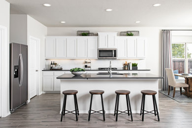 Elegant kitchen photo in Dallas