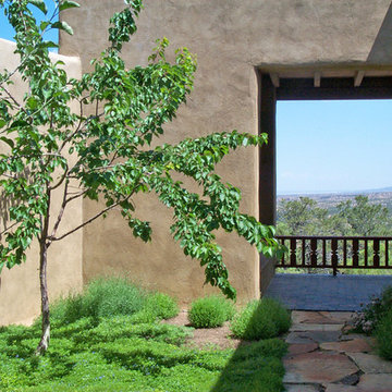 Pedregal House