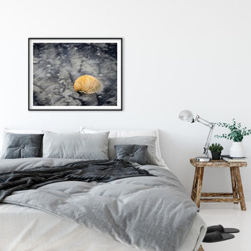 Black Sands and Seashell on the Shore Coastal Wall Art Prints