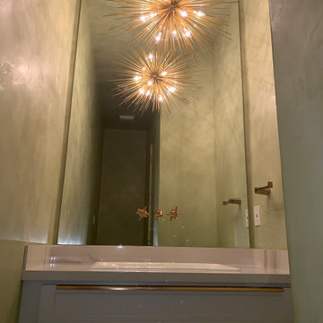 Powder Bath chandelier and mirror