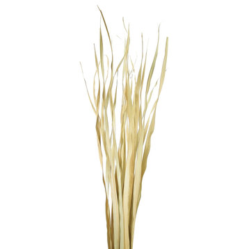 Vickerman Rush Grass, Dried 7oz