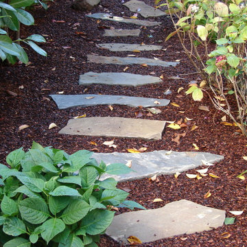 Secret Path