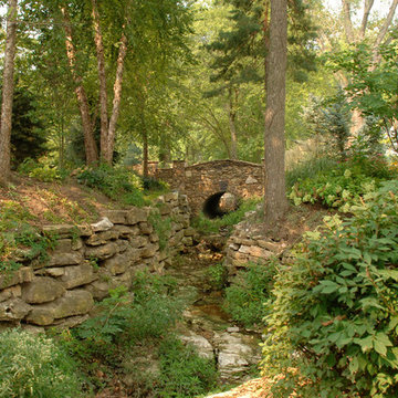 Lush Landscapes