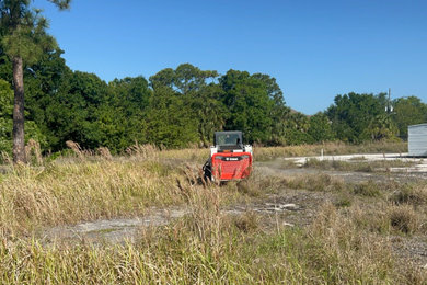 Commercial Landscape Clean- Up