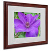 'Purple Flower' Matted Framed Canvas Art by Monica Fleet