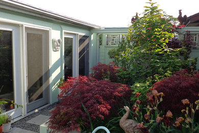 This is an example of an eclectic landscaping in Toronto.