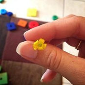 Foto von Arielle Ofty