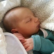 Shannon Nihls's photo