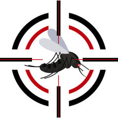 Baraka Pest Control