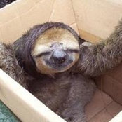 Jacob Mauseth's photo