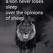 Rick Oncale's photo