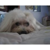 Joni Caw's photo