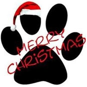 Laurie Merrick's photo