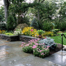 Cha Cha front yards