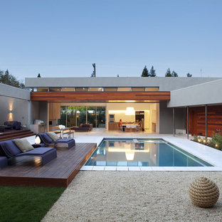 サンフランシスコのモダンスタイルのおしゃれな中庭プール (デッキ材舗装) の写真