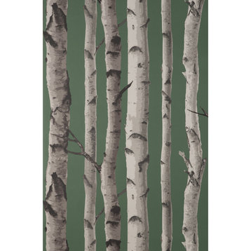 Chester Dark Green Birch Trees Wallpaper Bolt