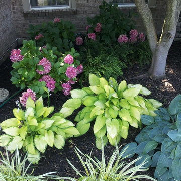 Garden Photos