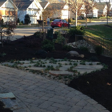 Landscape Renovation