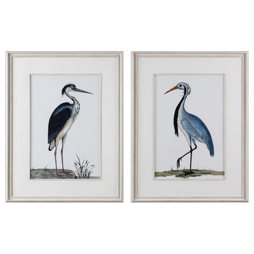 Shore Birds Framed Prints, Set of 2