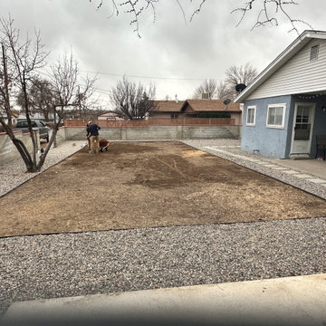 Backyard Transformation
