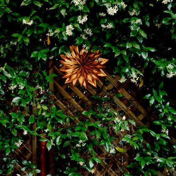 Copper Accent Within the Jasmine