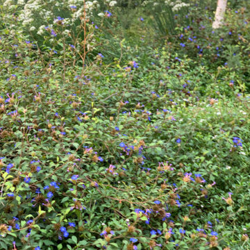 giardino contemporaneo a basso impatto ambientale