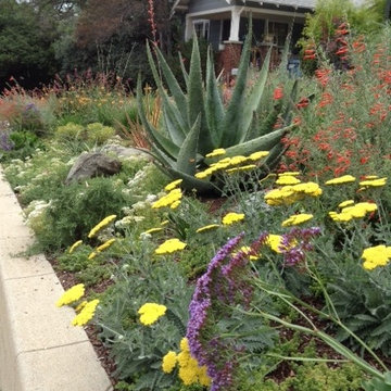 Craftsman and a Meadow with low water plants