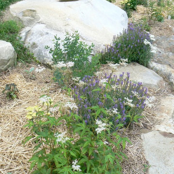 Terrace Butterfly Gardens