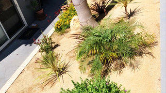 The Dalton Landscape Remodel