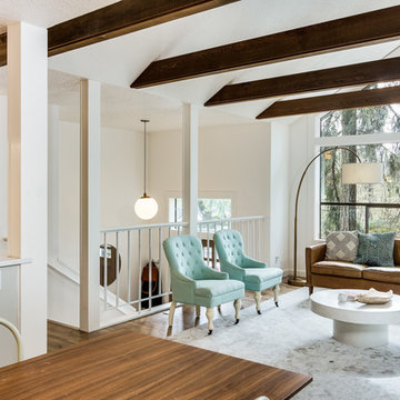 Mid Century Modern Remodel