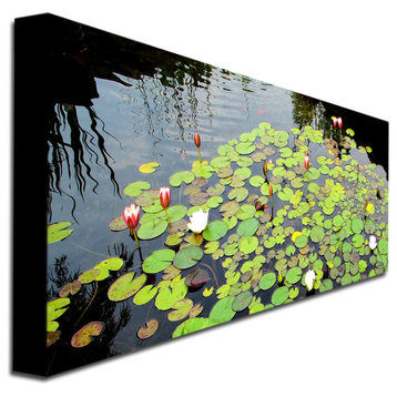 'Summer Lily Pond' Canvas Art by Kathie McCurdy