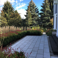 front yard