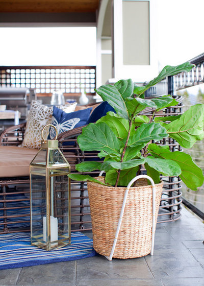 Дворик by Grapevine Designs