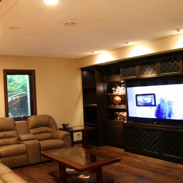 Multi Media Room - Basement