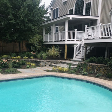Pool and Backyard Renovation