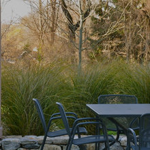 patio space