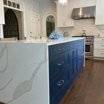 Blue and White Transitional