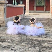 Eugenio Garza P's photo