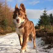 Ann Brown's photo