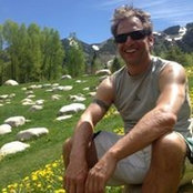 Rob Williamson's photo