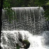 Martha Britton's photo