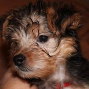 Deborah Moorman's photo